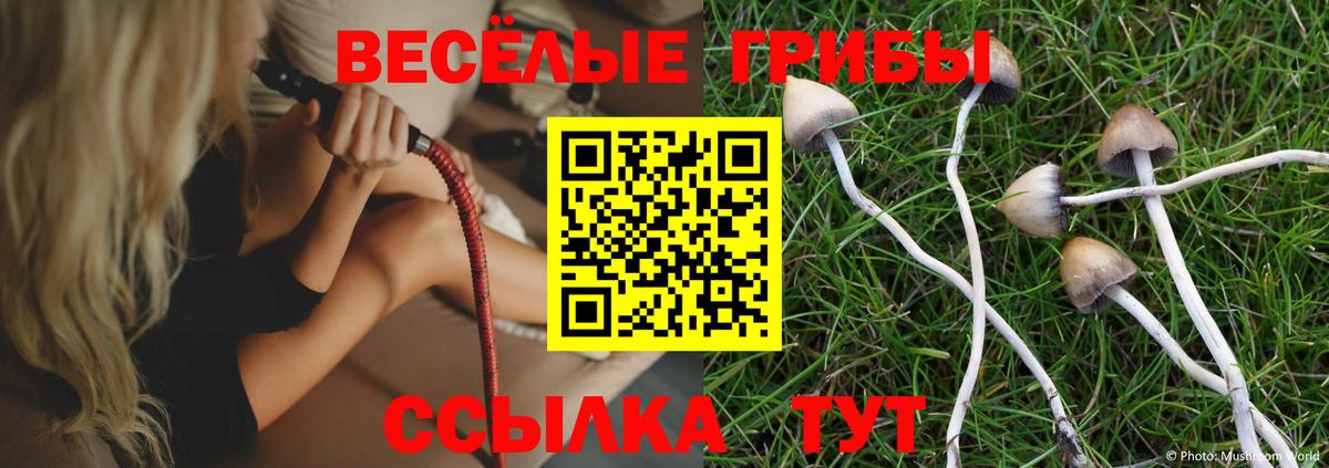 Киржач  Псилоцибиновые грибы мухоморы  Псилоцибиновые грибы прущие грибы  Вход с VPN 